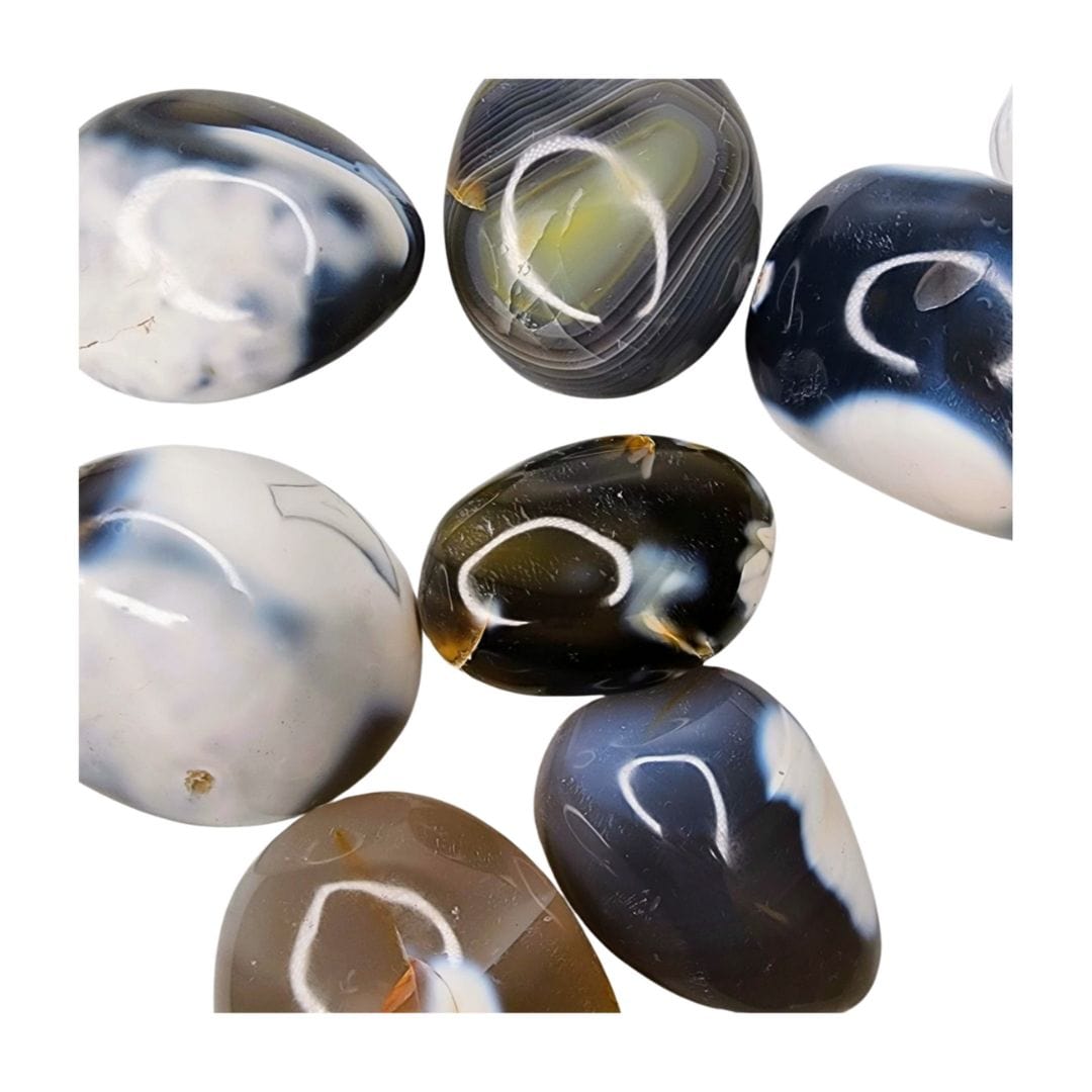 Mystery Crystal Palm Stone