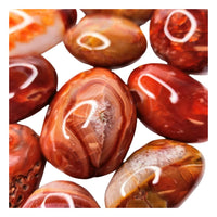 Mystery Crystal Palm Stone