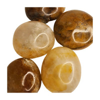 Mystery Crystal Palm Stone