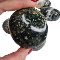 Mystery Crystal Palm Stone