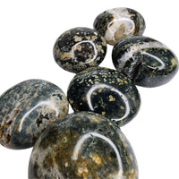 Mystery Crystal Palm Stone