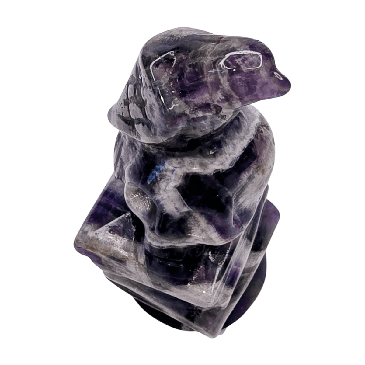 Amethyst Raven