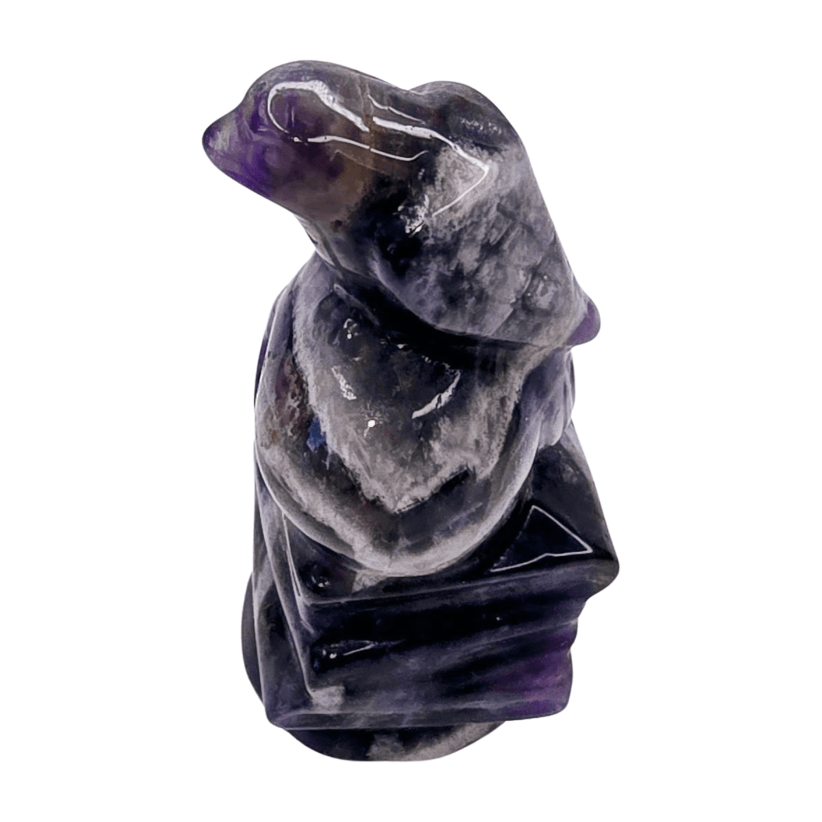 Amethyst Raven