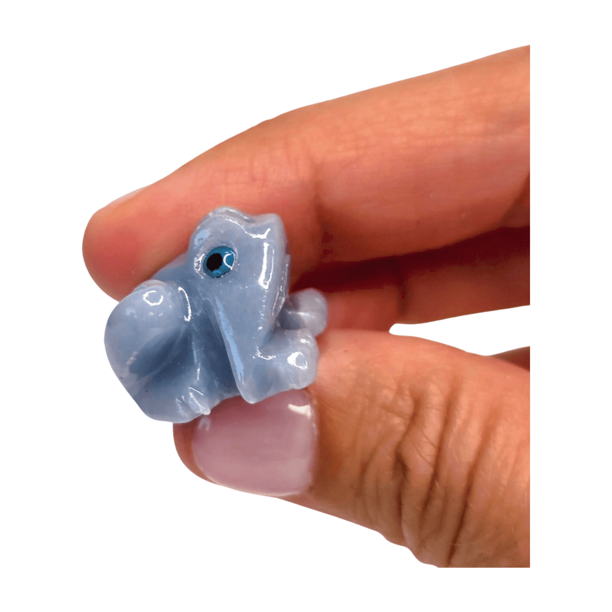 Angelite Frog - Extra Small