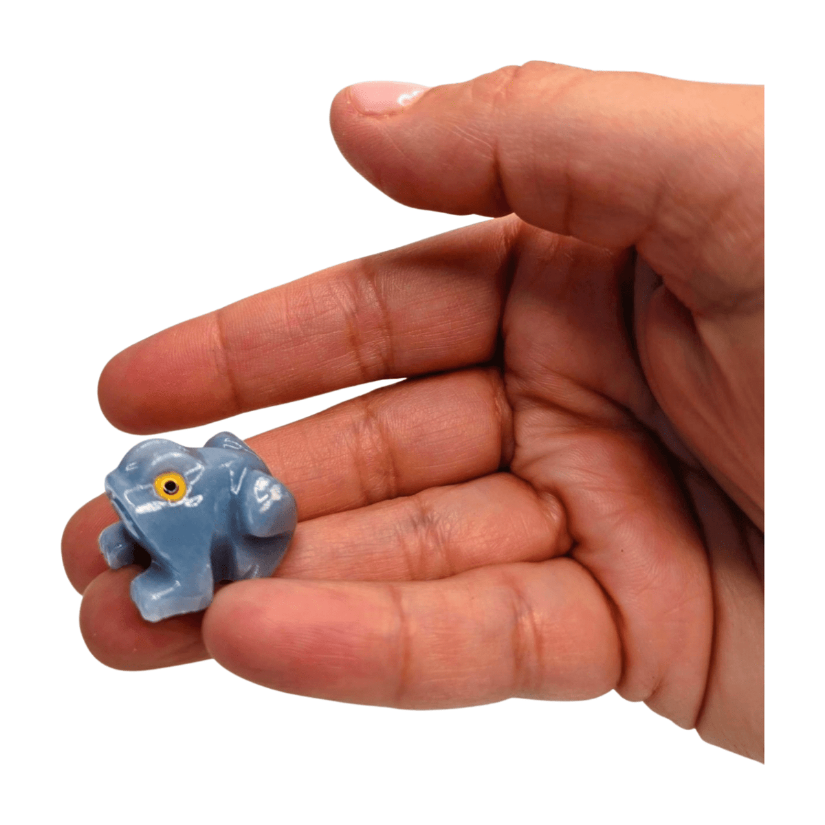 Angelite Frog - Extra Small
