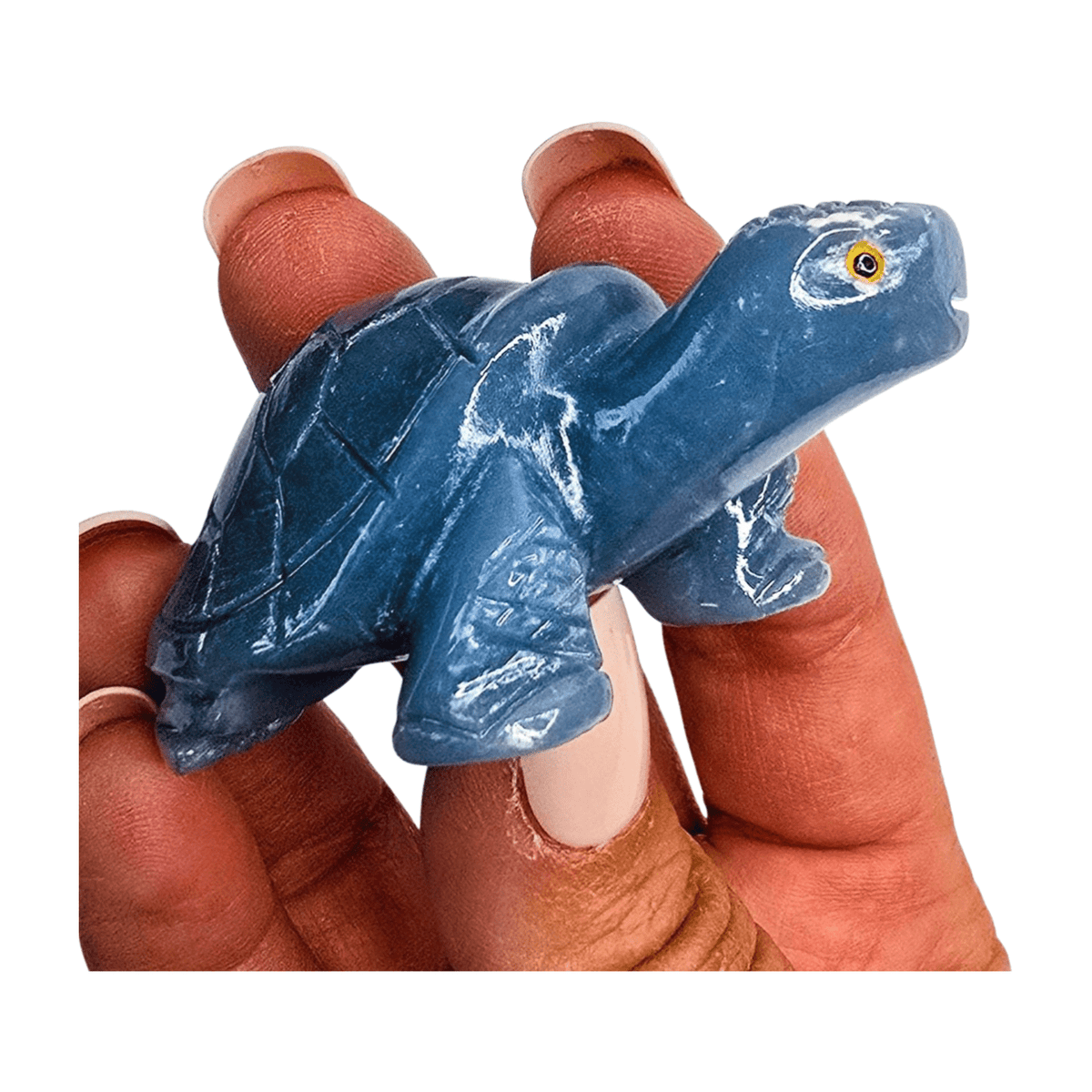Angelite Turtle