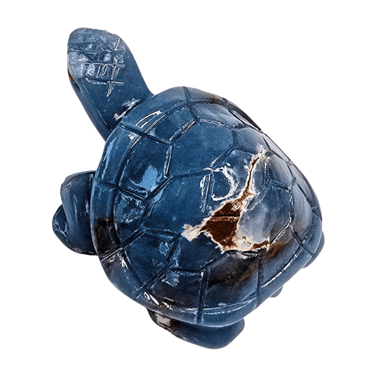 Angelite Turtle