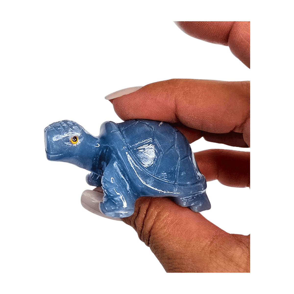 Angelite Turtle