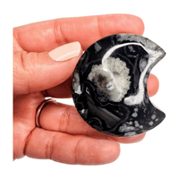 Black Flower Agate Moon