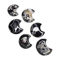 Black Flower Agate Moon