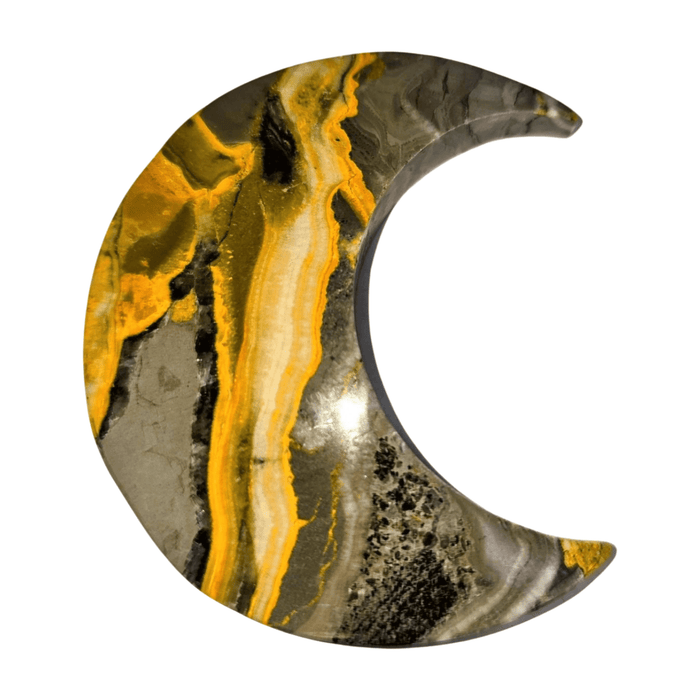 Bumblebee Jasper Moon