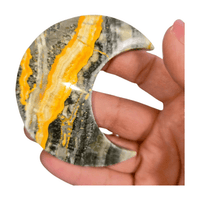 Bumblebee Jasper Moon