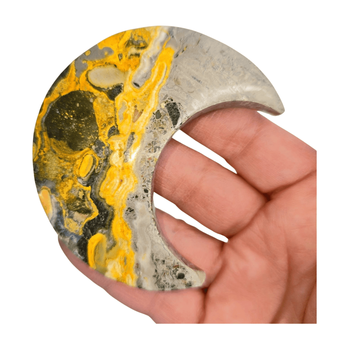 Bumblebee Jasper Moon