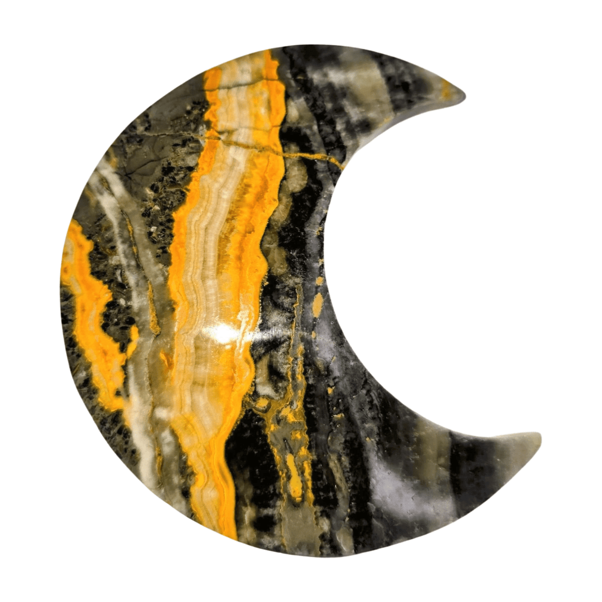 Bumblebee Jasper Moon