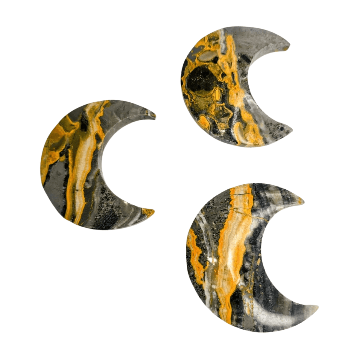 Bumblebee Jasper Moon