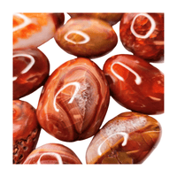 Carnelian Palm Stone