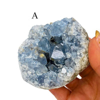 Celestite Specimen
