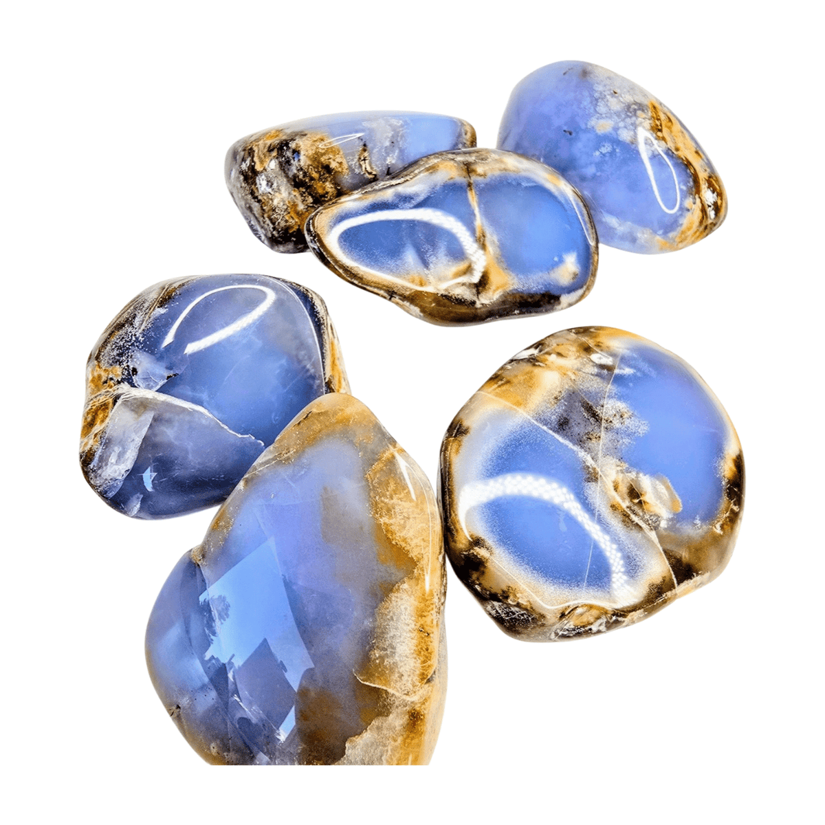 Chalcedony Palm Stone