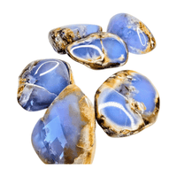 Chalcedony Palm Stone