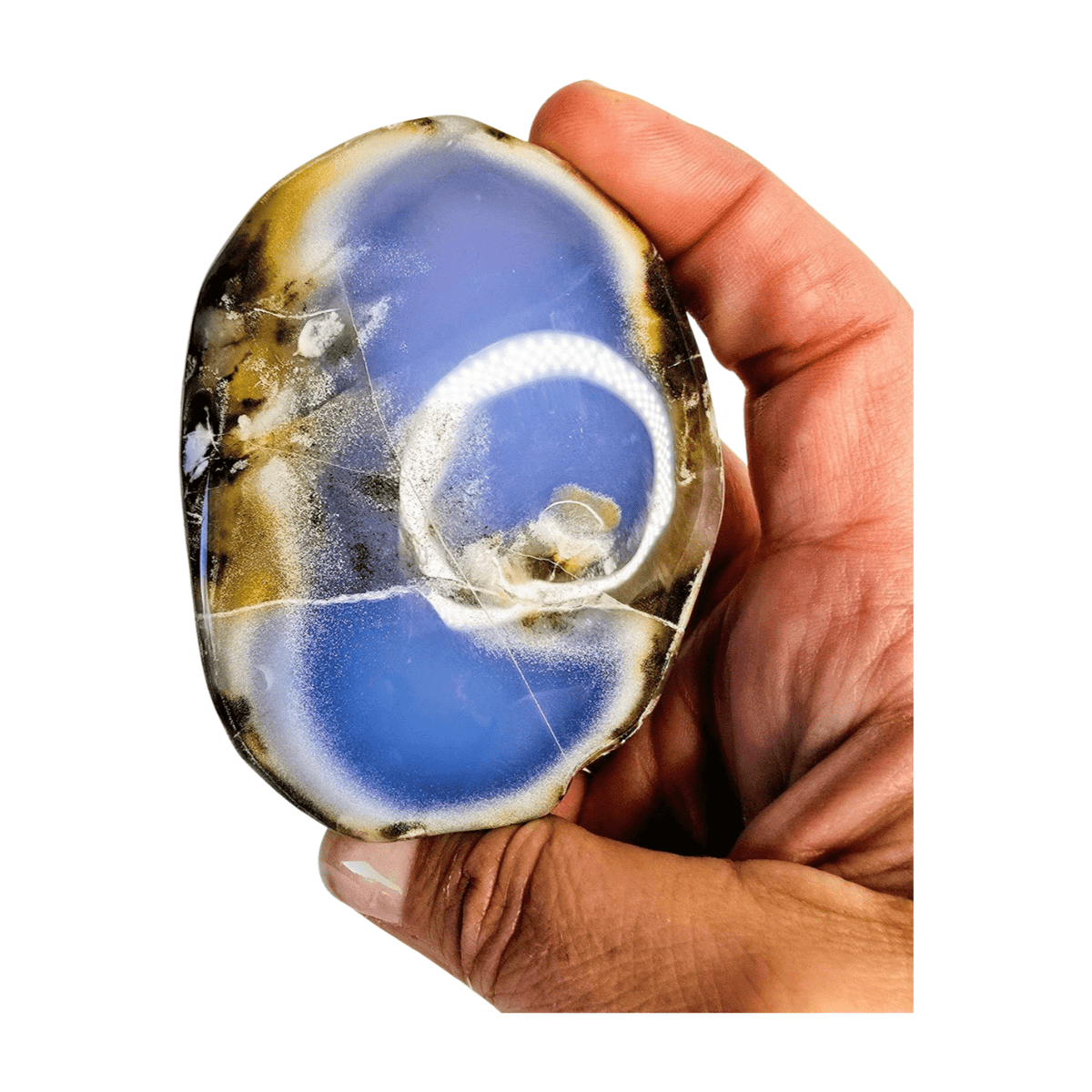 Chalcedony Palm Stone