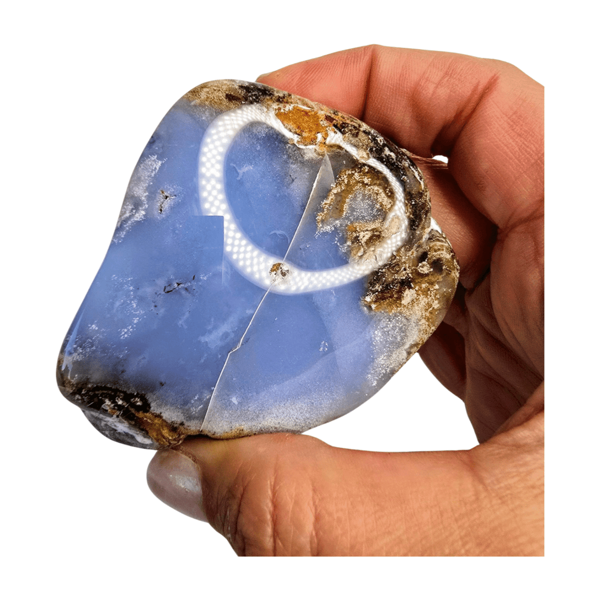 Chalcedony Palm Stone