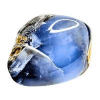 Chalcedony Palm Stone