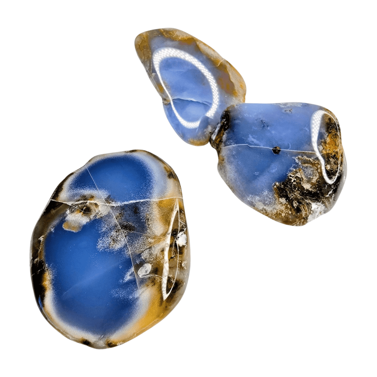 Chalcedony Palm Stone