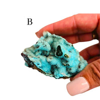 Chrysocolla Quartz Druzy Specimen