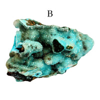 Chrysocolla Quartz Druzy Specimen