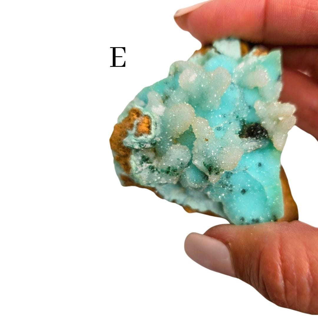 Chrysocolla Quartz Druzy Specimen