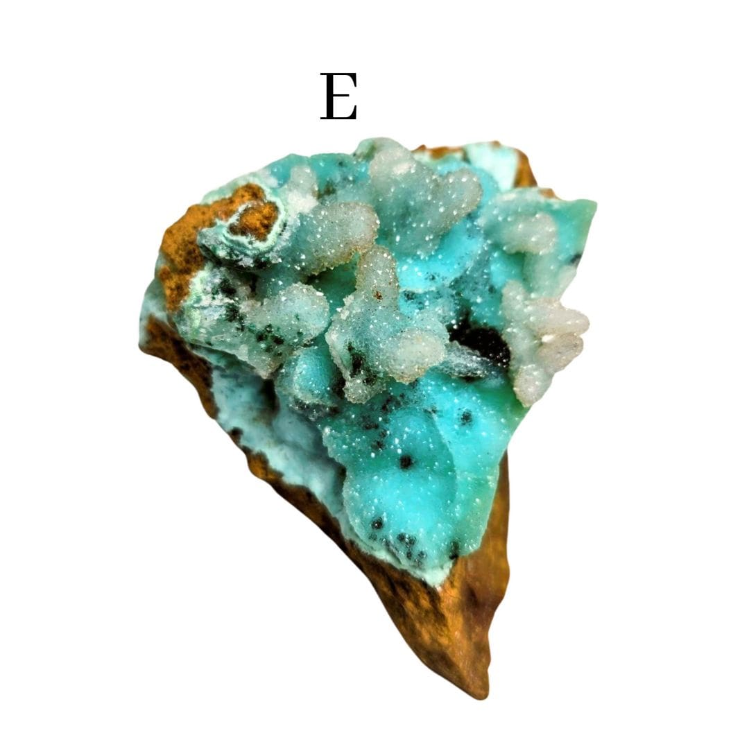Chrysocolla Quartz Druzy Specimen