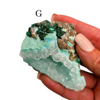 Chrysocolla Quartz Druzy Specimen