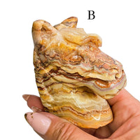 Crazy Lace Agate Horse