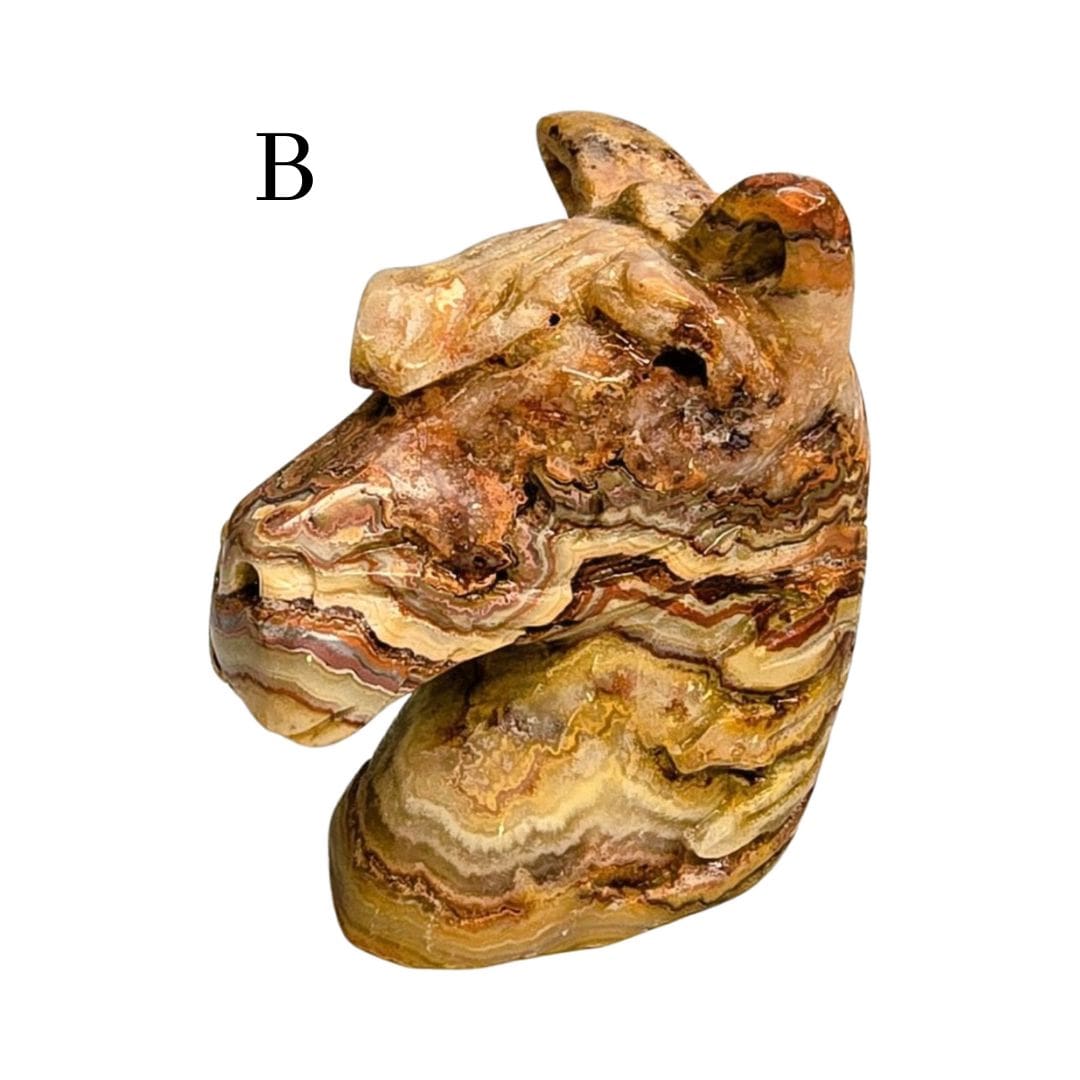 Crazy Lace Agate Horse