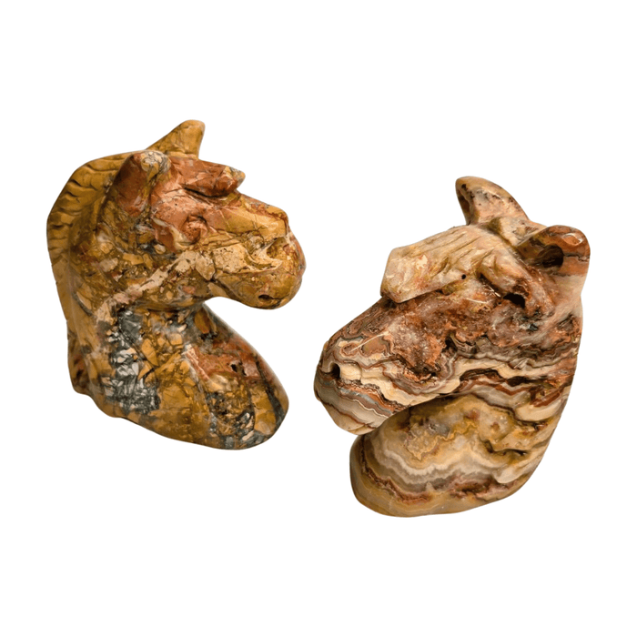 Crazy Lace Agate Horse