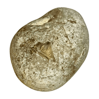 Emma's Egg - Clear Quartz