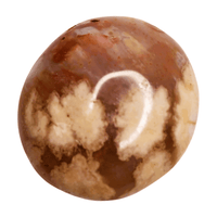 Flower Agate Palm Stone