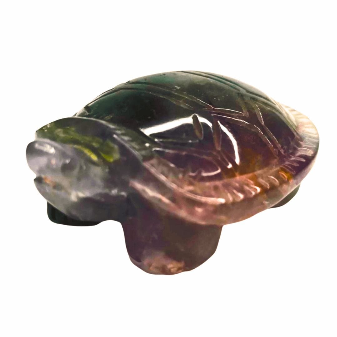 Fluorite Turtle
