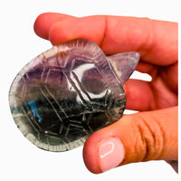 Fluorite Turtle