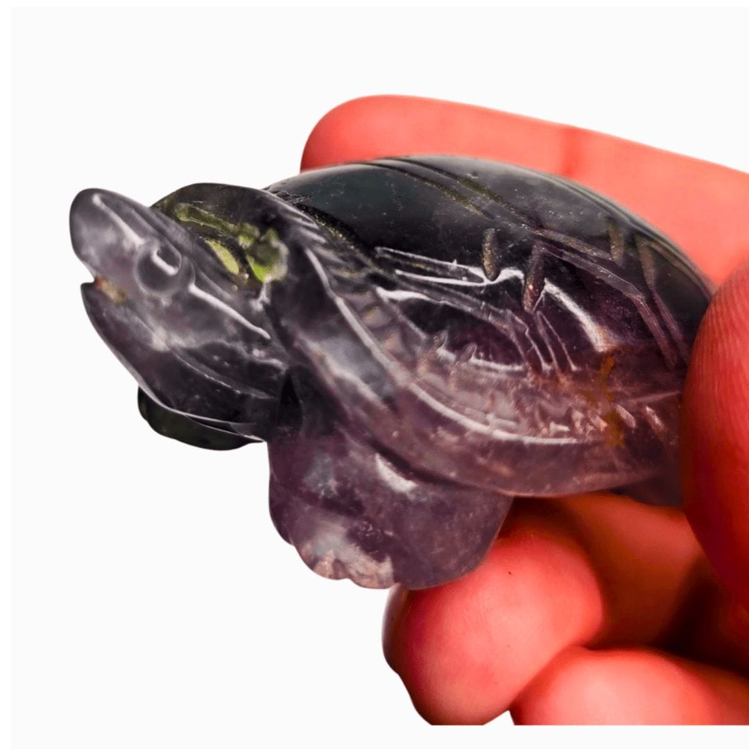 Fluorite Turtle
