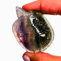 Fluorite Turtle
