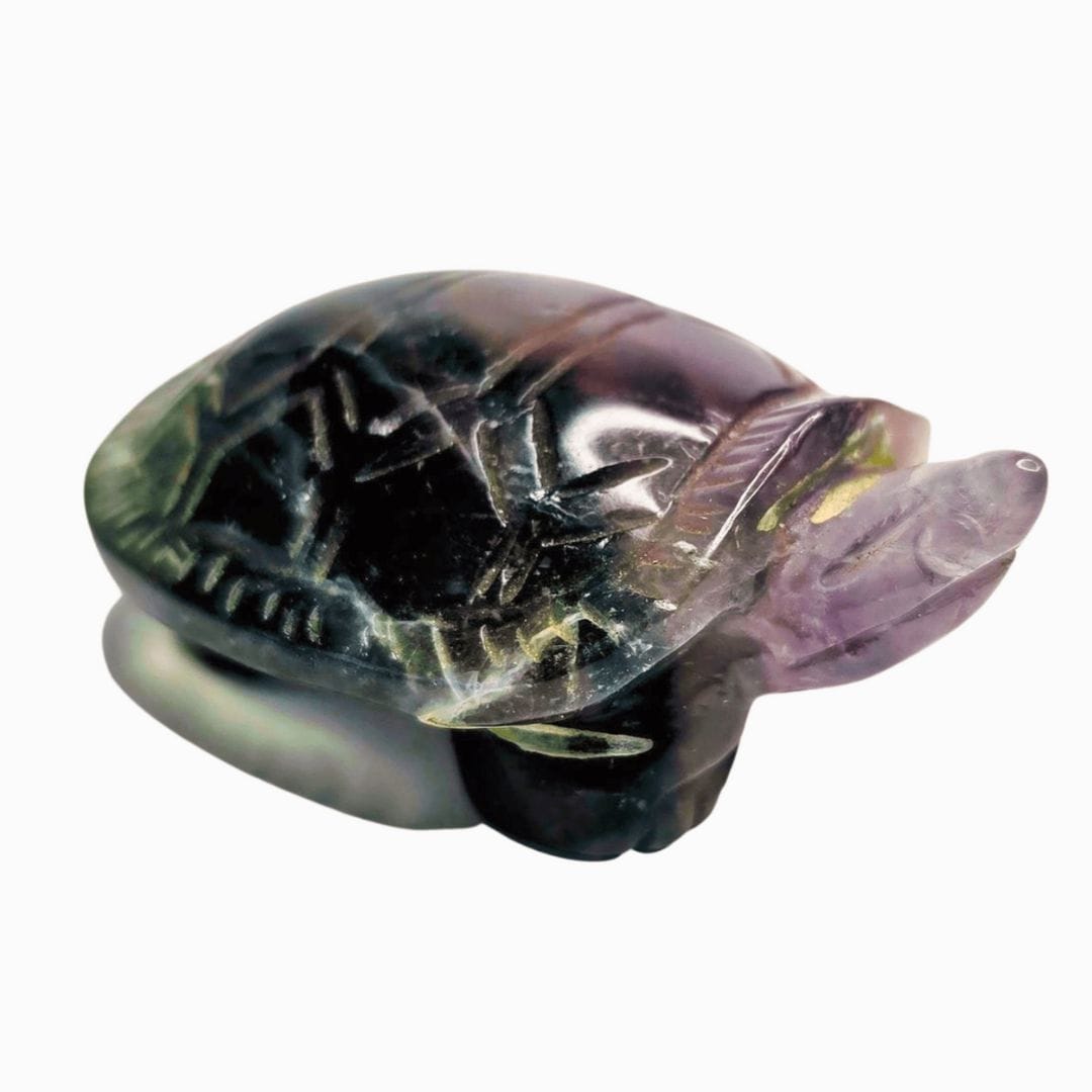 Fluorite Turtle