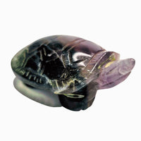 Fluorite Turtle