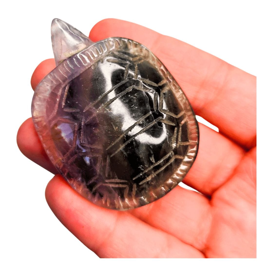 Fluorite Turtle
