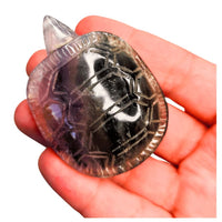 Fluorite Turtle