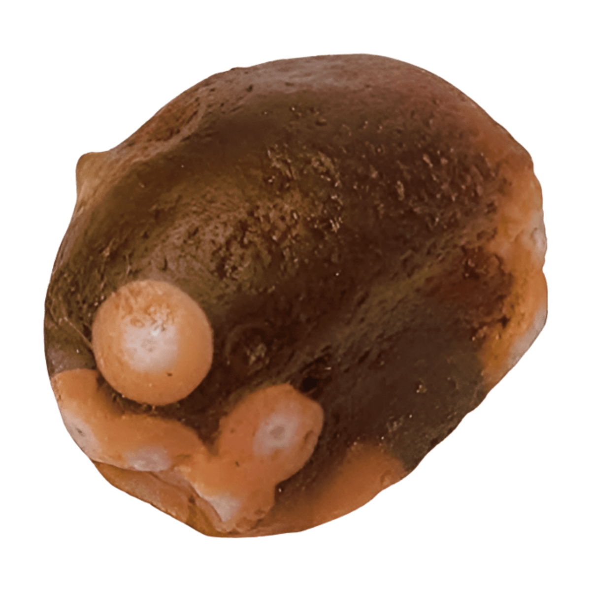 Gobi Desert Jasper Tumble