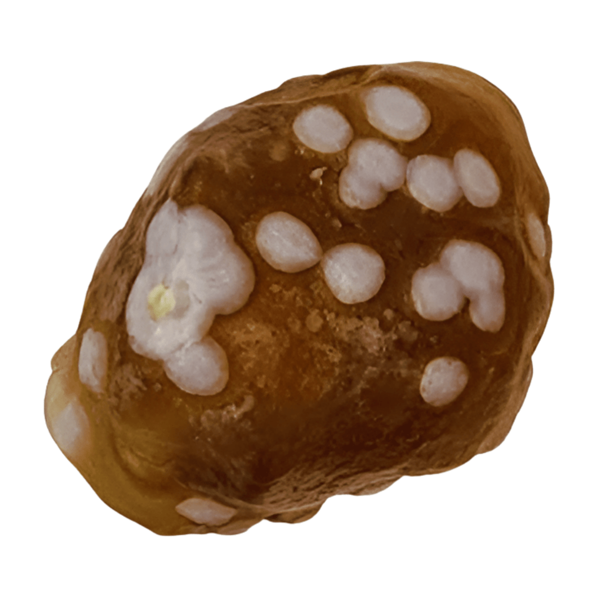 Gobi Desert Jasper Tumble