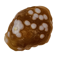 Gobi Desert Jasper Tumble