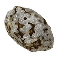 Gobi Desert Jasper Tumble