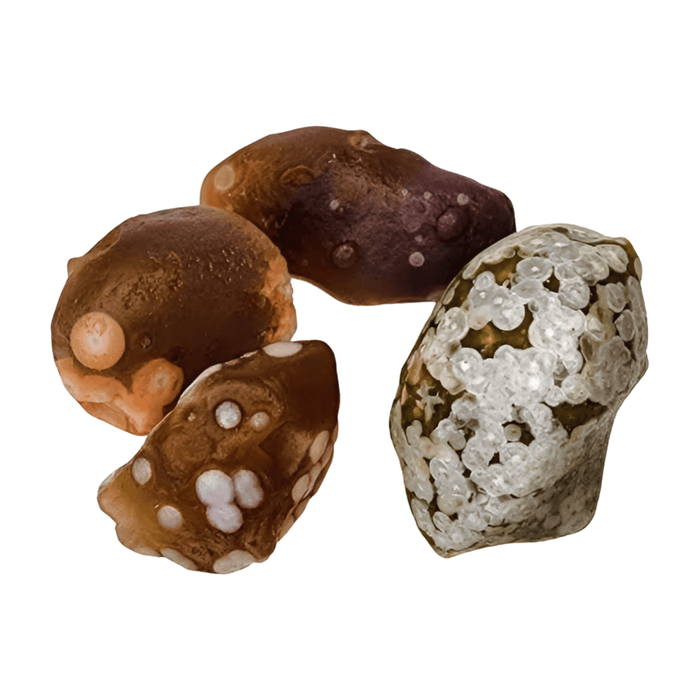 Gobi Desert Jasper Tumble